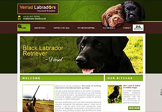 Verrad Labradors, Westwoodside, S. Yorkshire